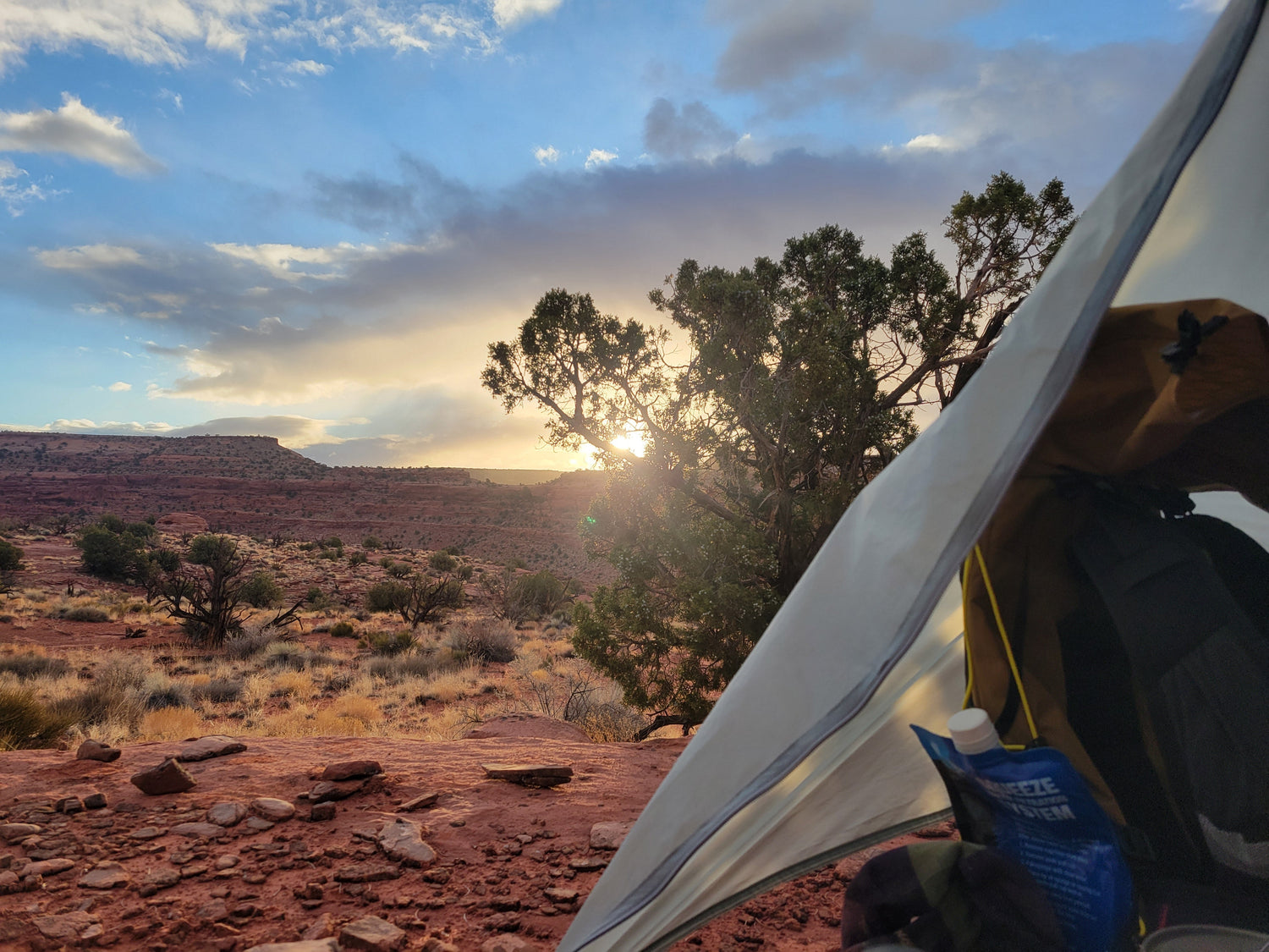 Taking the Hard Road By Jade Downing