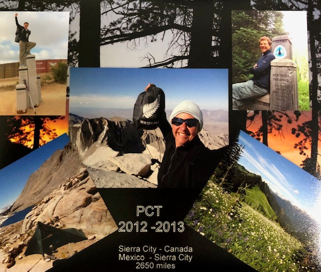 Braced for Impact by Carol Wilson