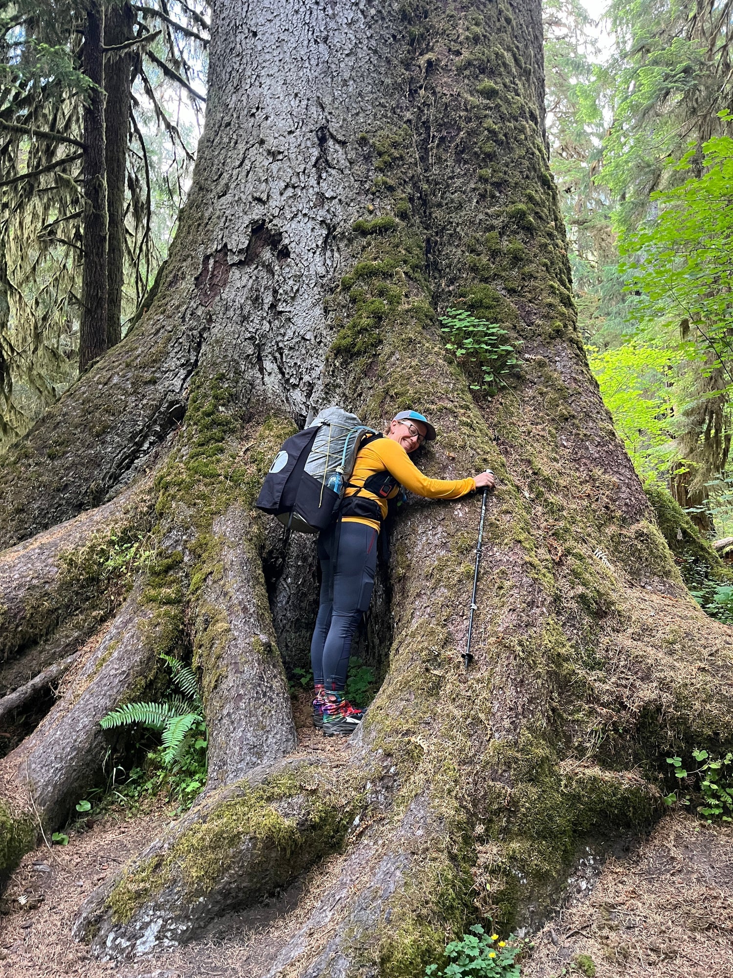Trip Report: Hoh River Trail By Kirsten Anderson