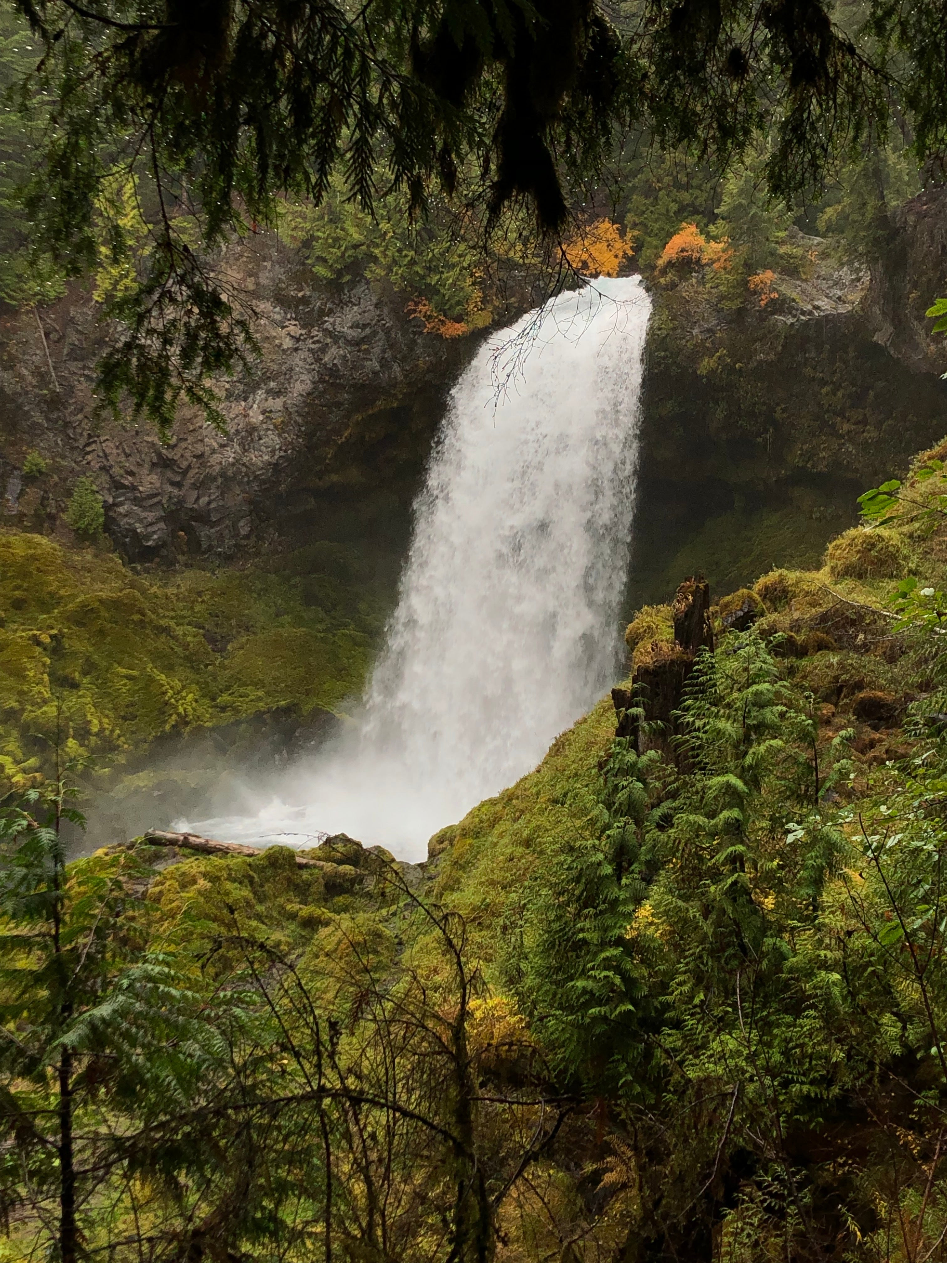 Fall Hikes Near Portland, Oregon