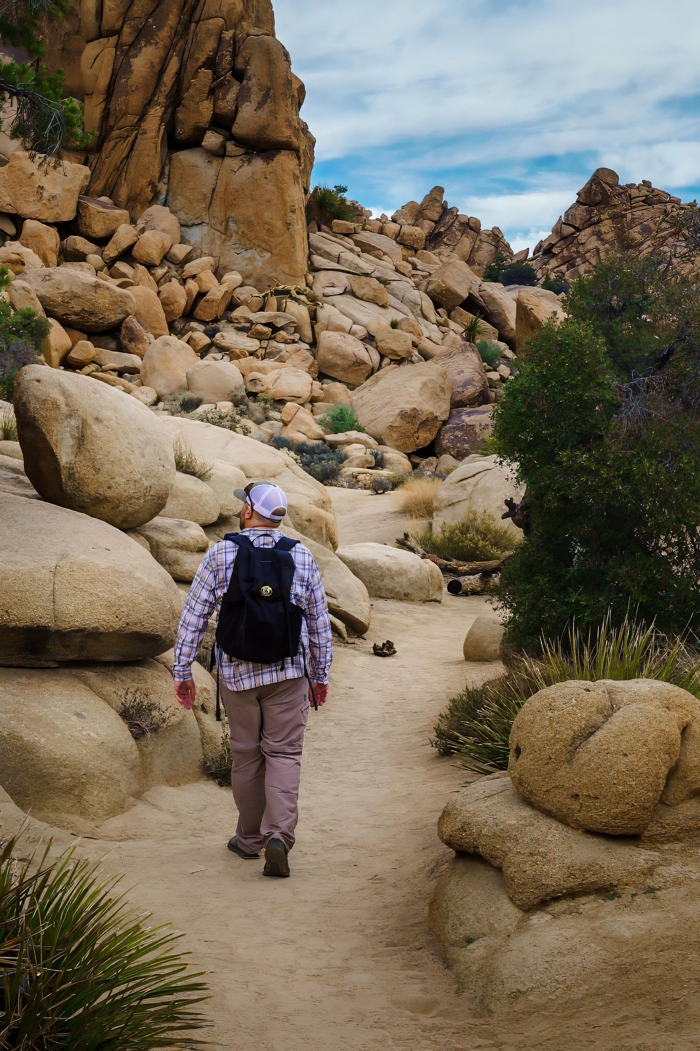 Joshua Tree National Park Activity Guide: Top 5 Activities to Explore in the Park By Jason Huckeba