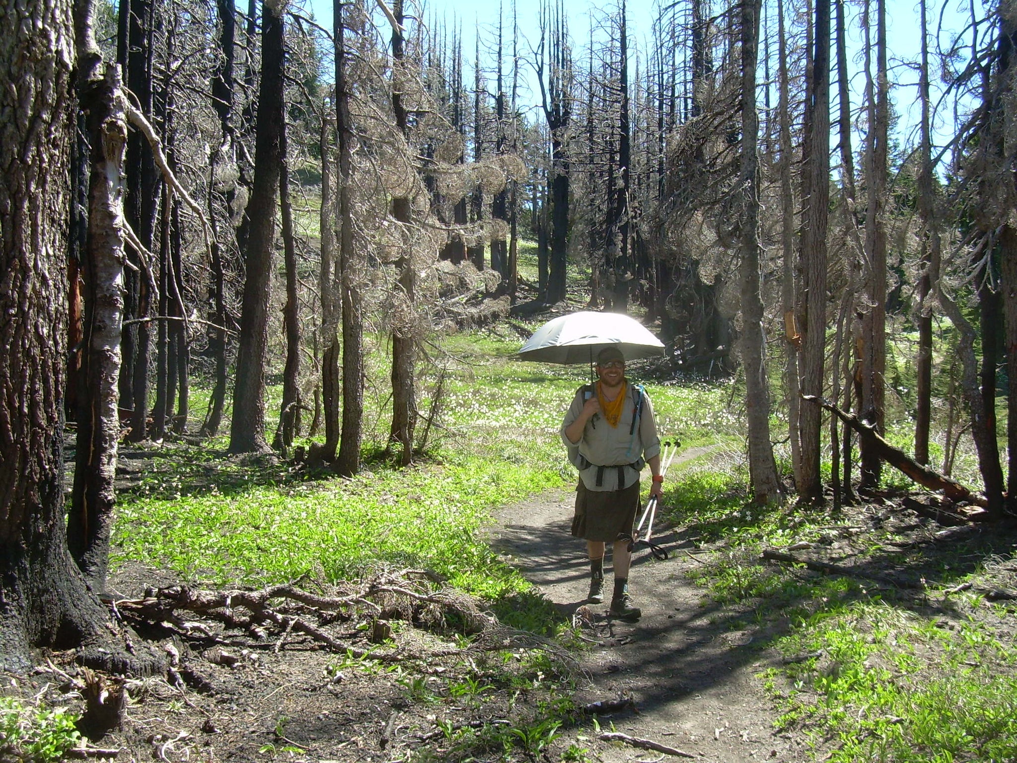 Hiking pole umbrella sales