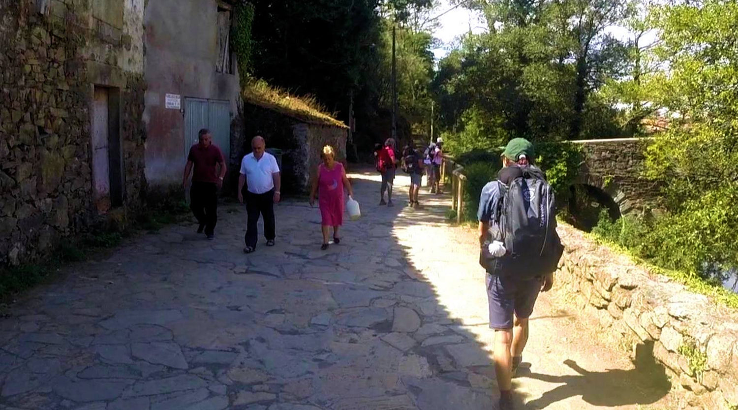 Traveling in Style with the New Traveler