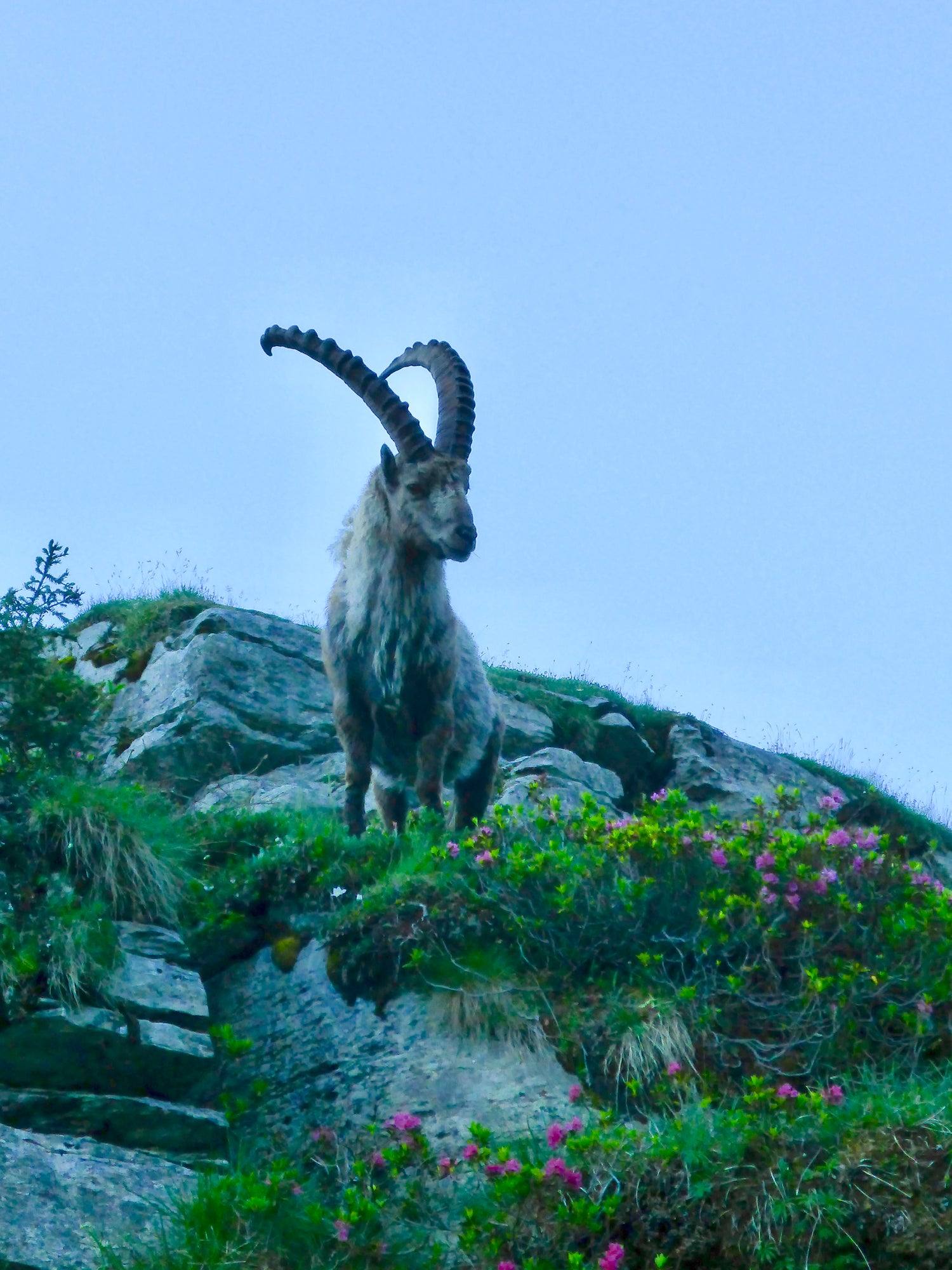 Dealer Spotlight Trekking-Lite-Store.com