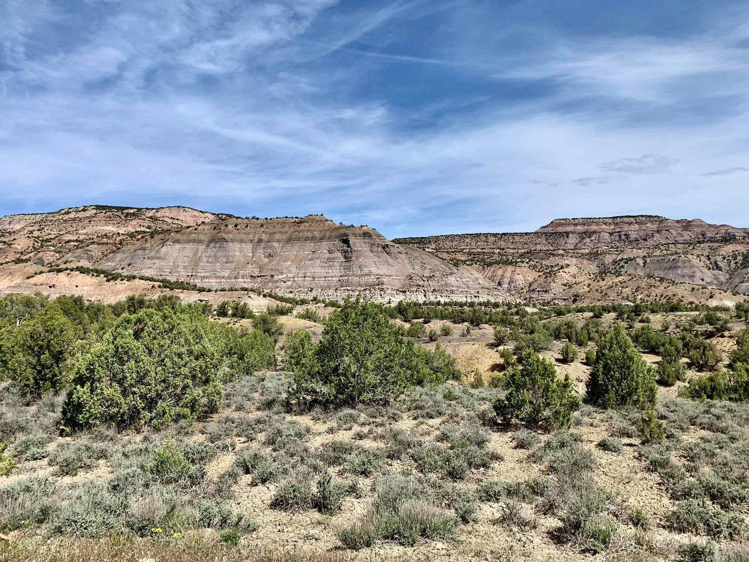 5 Tips to Reduce Heat-Stress and Dehydration During a Long Event