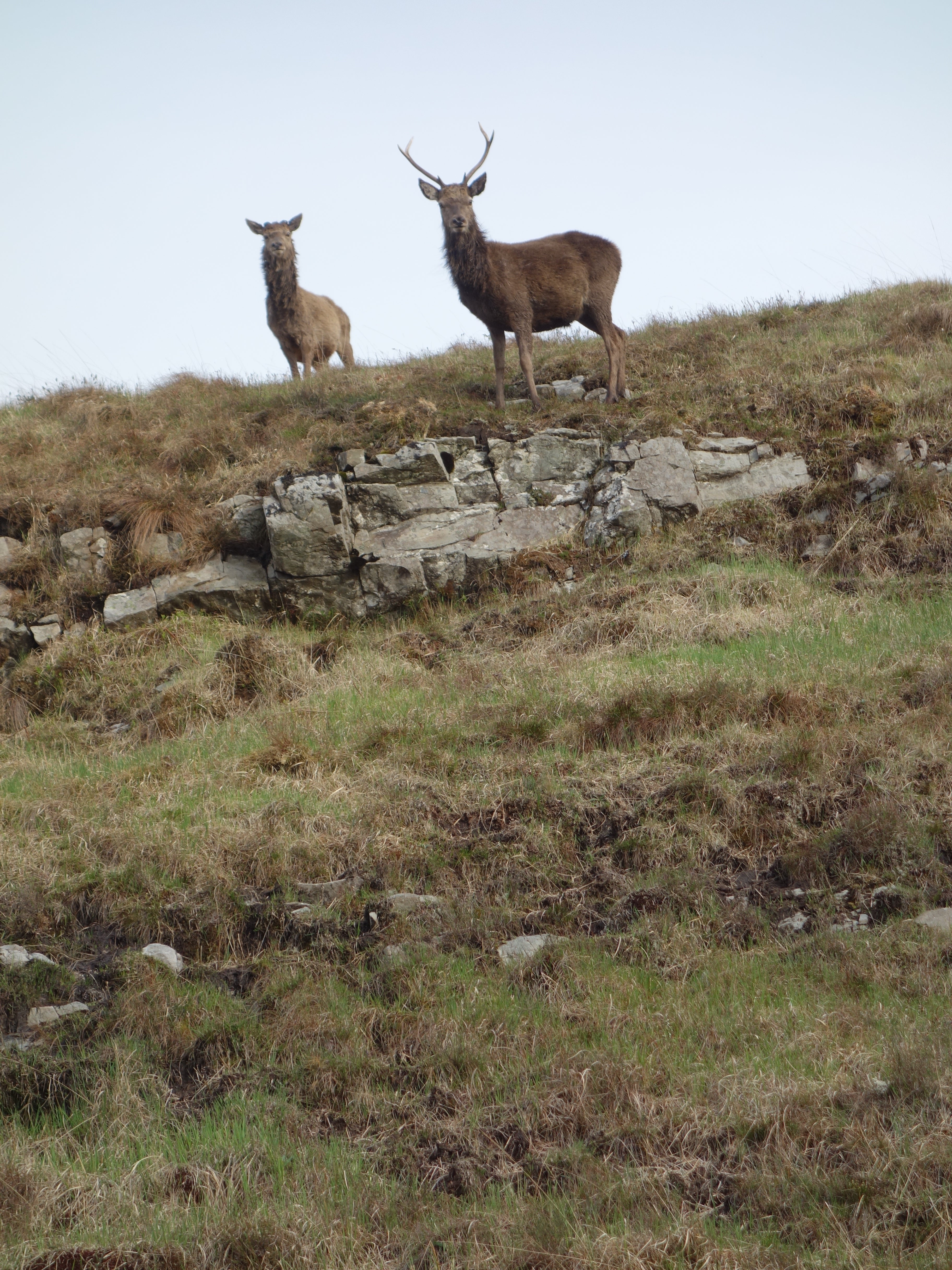 Jura by Jim Sutherland