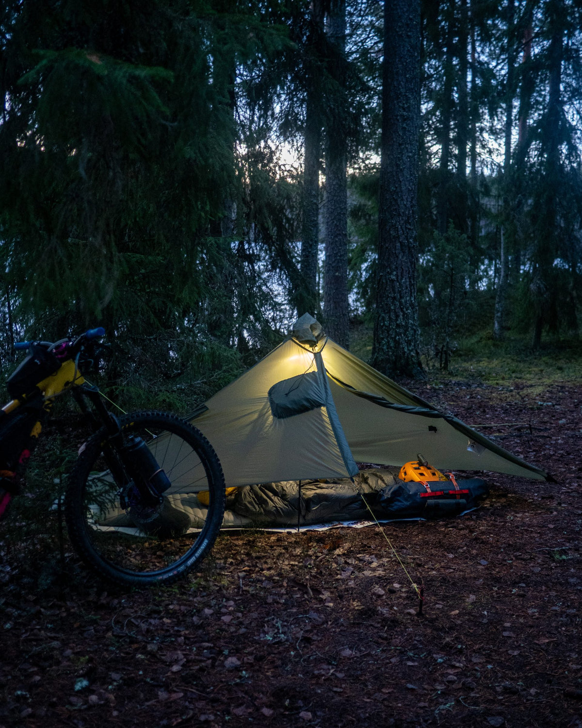 Green Gatewood Cape glowing at dusk in a dark forest beside a bikepacking bike