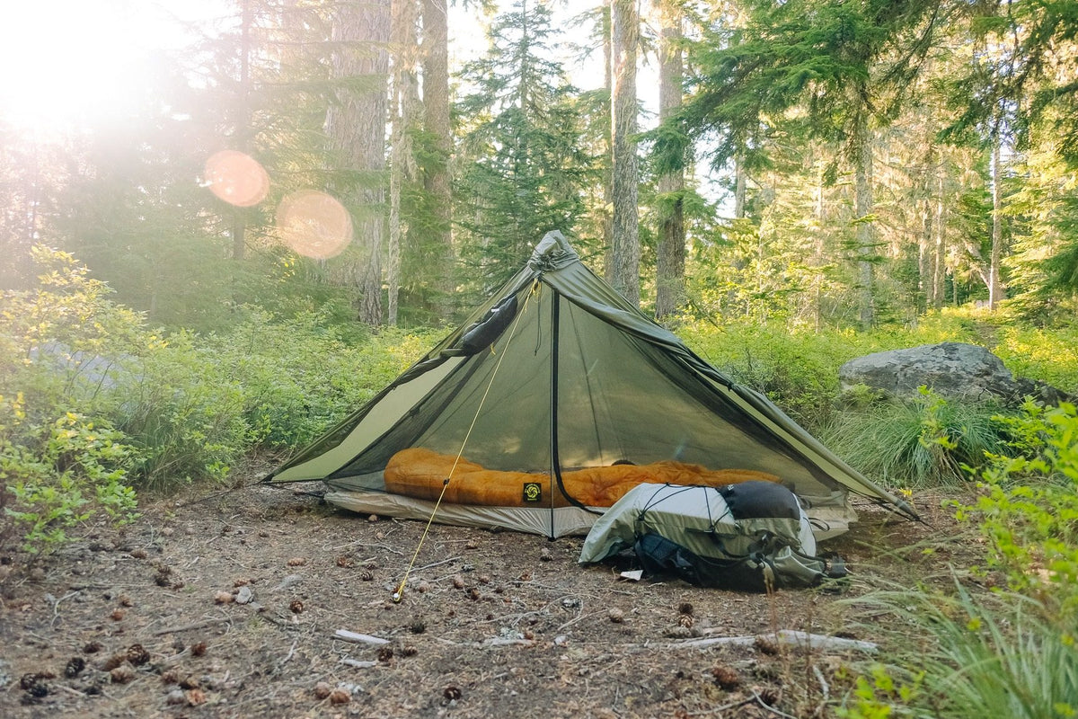 Green Gatewood Cape with a Serenity NetTent and orange sleeping bag inside, pitched in a sunlit forest