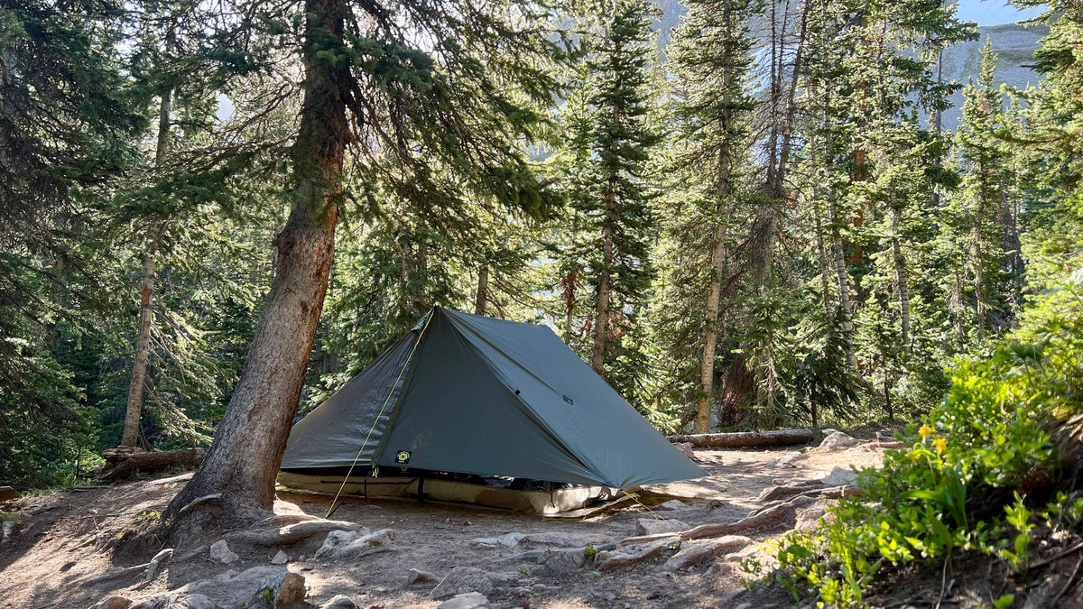 Haven tent pitched among conifers at a forest campsite