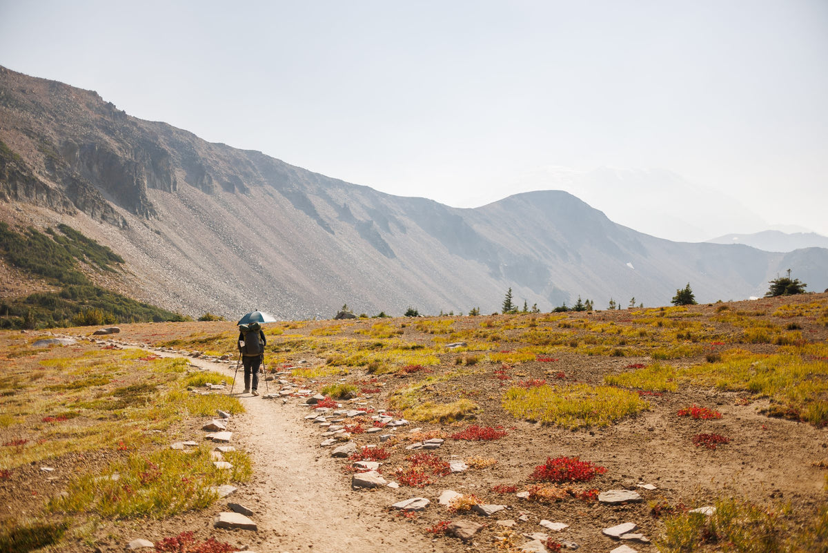 Hiker under a Rain Walker SUL umbrella on a trail through an autumn alpine meadow