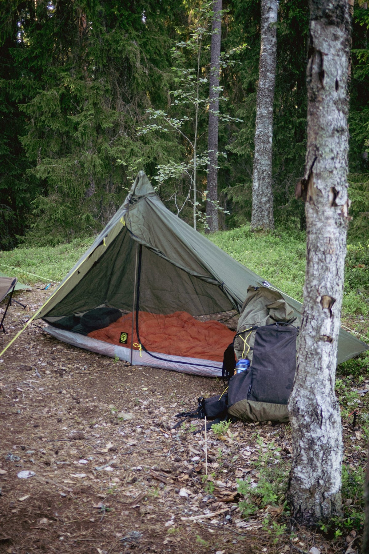 Serenity NetTent with its orange bathtub floor pitched under a green Gatewood Cape in a forest