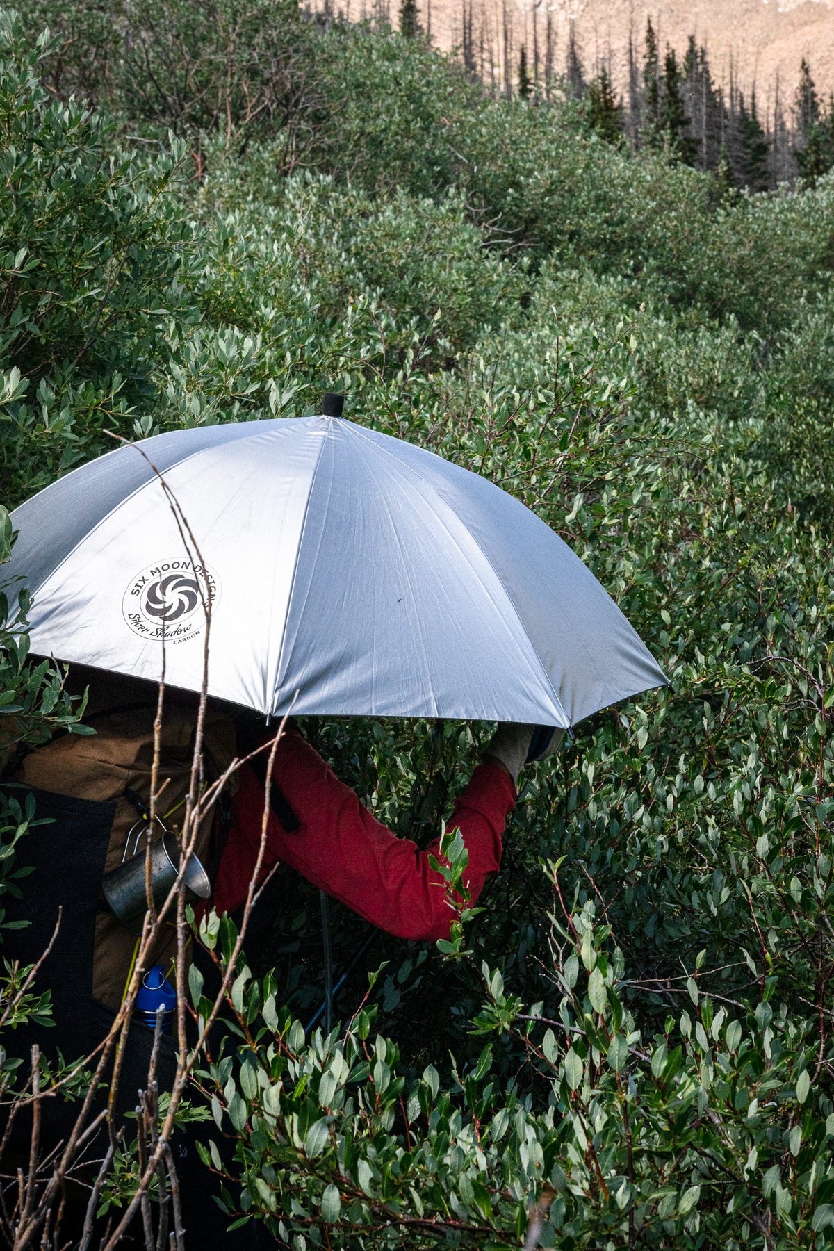 Hiker pushing through dense brush under a Silver Shadow Carbon umbrella
