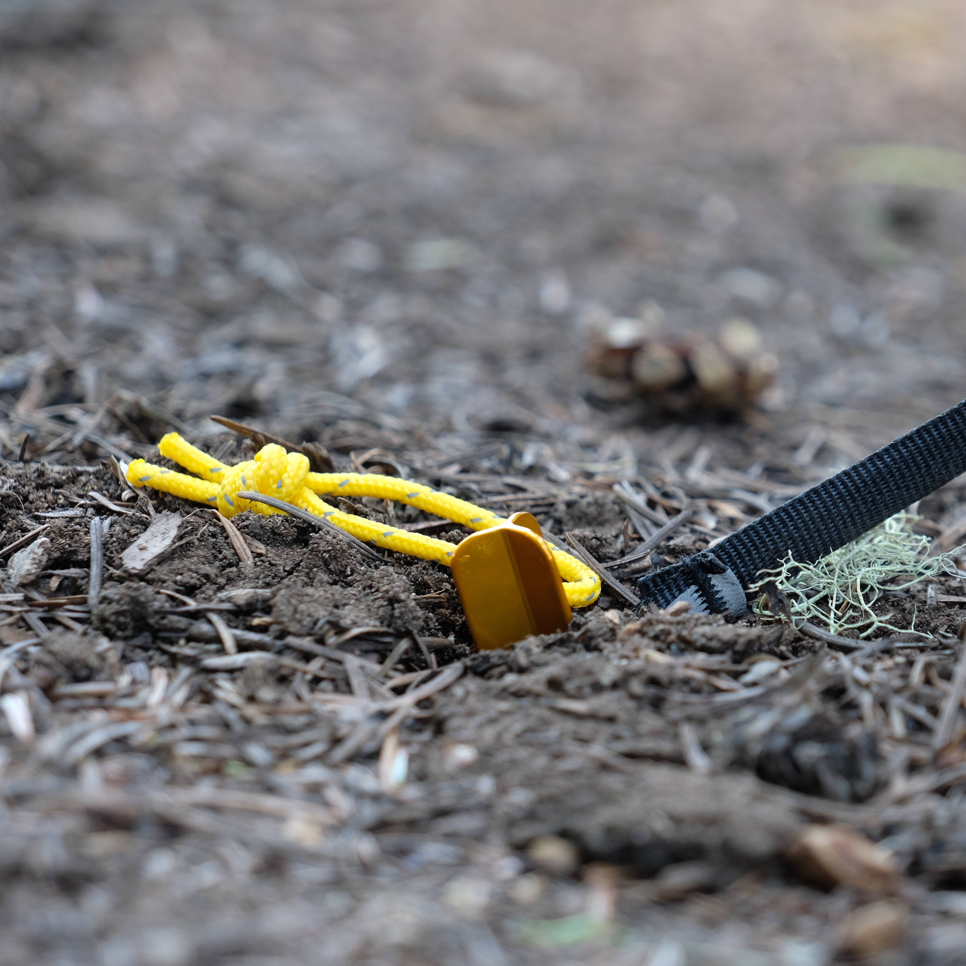 1 stake in the ground holding a tent guy line