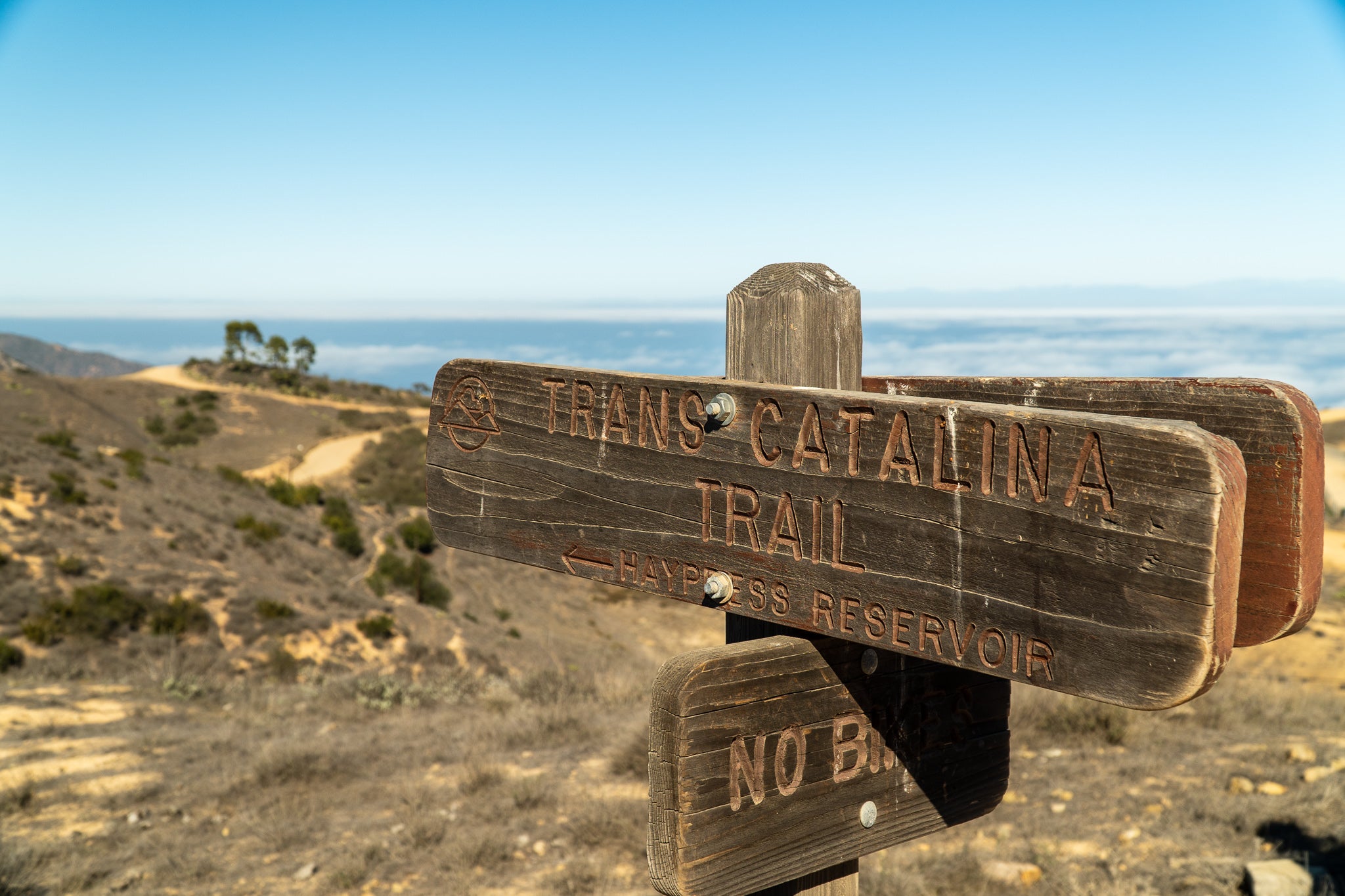Trans Catalina Trail - Pier to Pier by Jason Huckeba