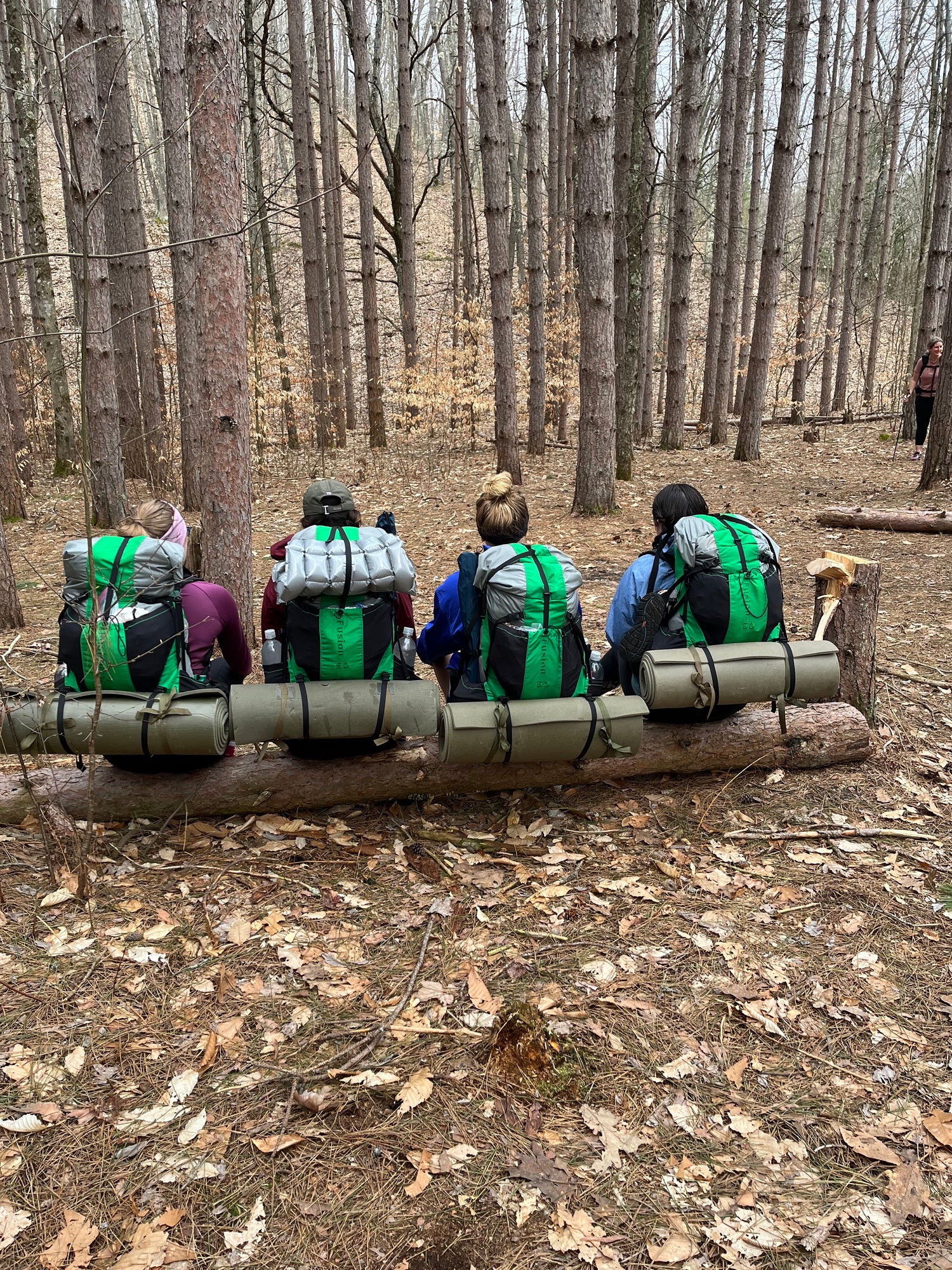 Considerations for Planning a Group Hike - by Joe Kellam