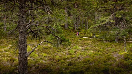 Bike packing in the Cairngorm National Park by Nick Tyron