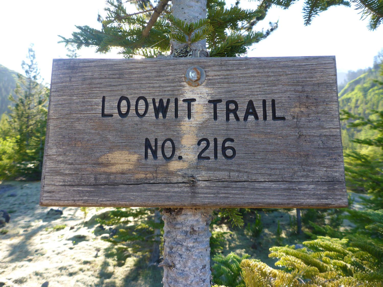 Your Guide to Hiking the Loowit Trail