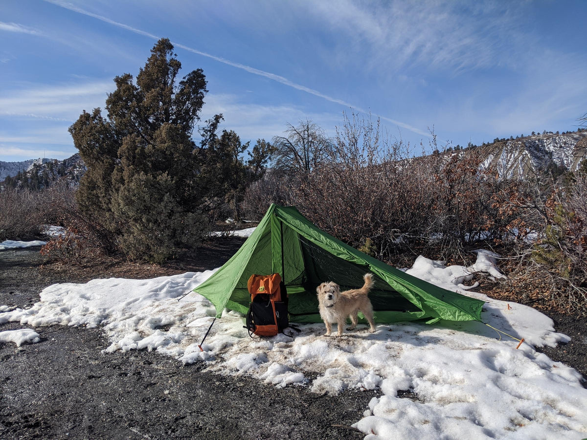 Green Skyscape tent with an orange backpack and a fluffy dog at a snowy campsite