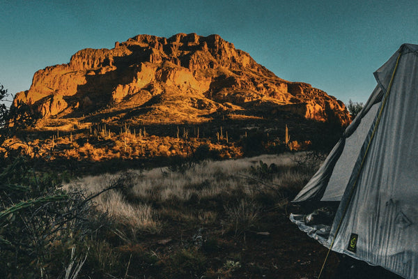 Not Sure Which Shelter?