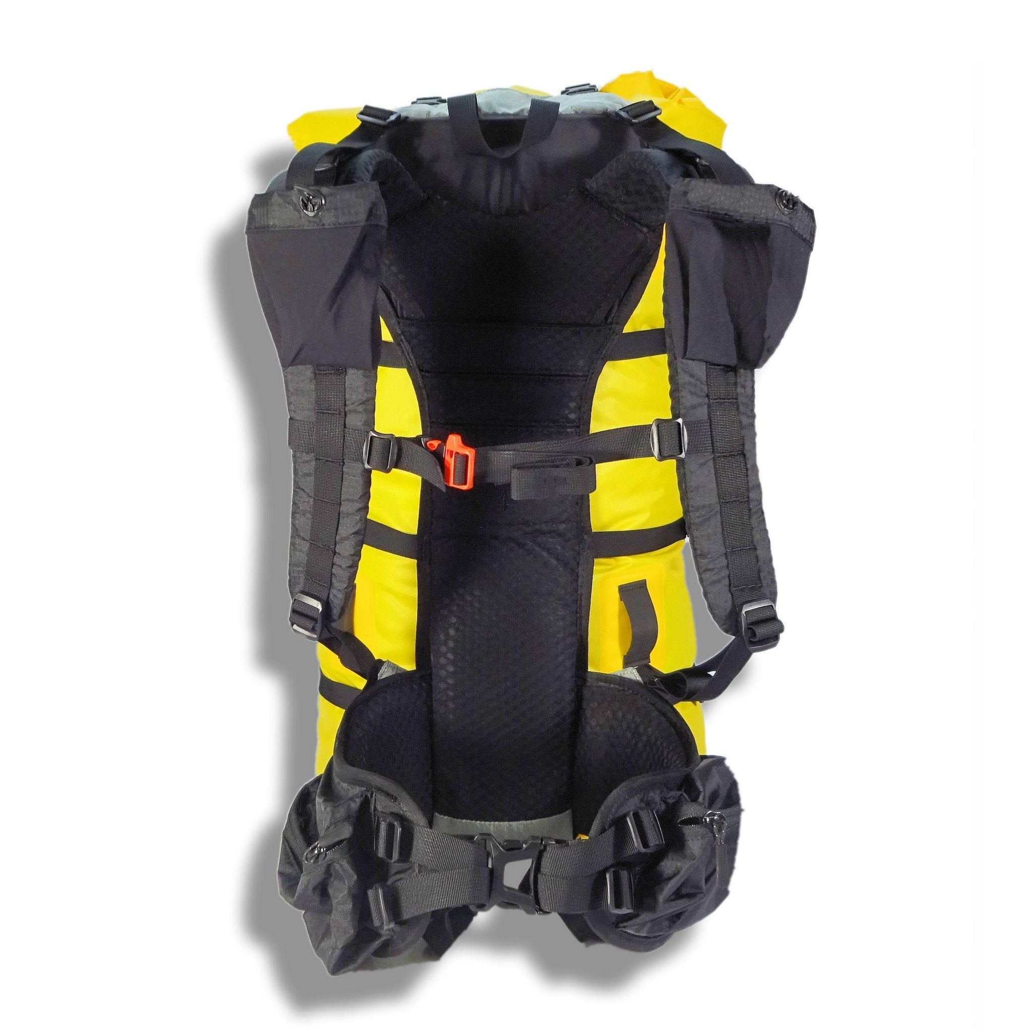 Flex Pack rear showing Shoulder straps and Hipbelt.