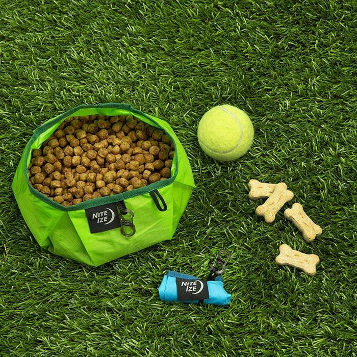 Green Nite Ize RadDog Collapsible Bowl filled with dog food